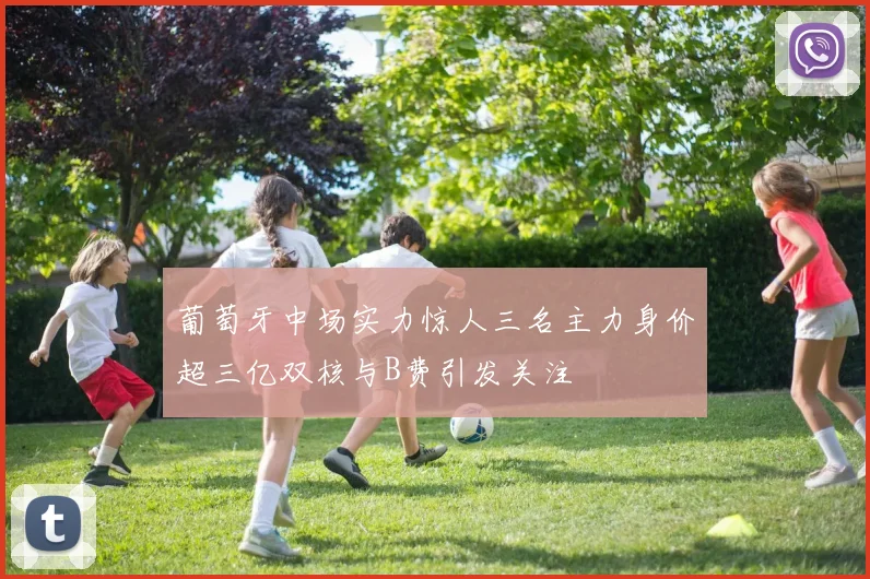 葡萄牙中场实力惊人三名主力身价超三亿双核与B费引发关注