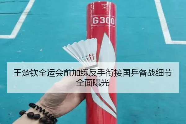 王楚钦全运会前加练反手衔接国乒备战细节全面曝光 - Yabo