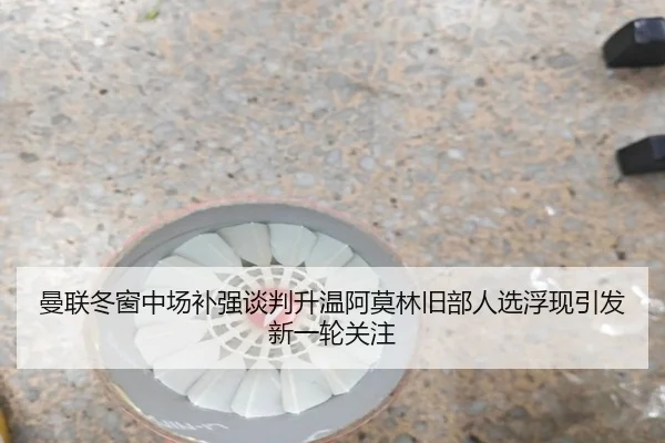 曼联冬窗中场补强谈判升温阿莫林旧部人选浮现引发新一轮关注 - Yabo